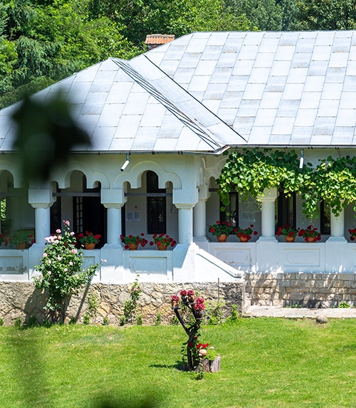 Ce materii se fac la Facultatea de Arhitectura? — exemplu vizual